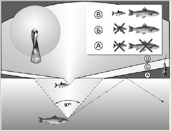Рис. 6. Поле зрения рыбы над поверхностью воды